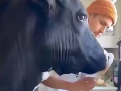 asdasd