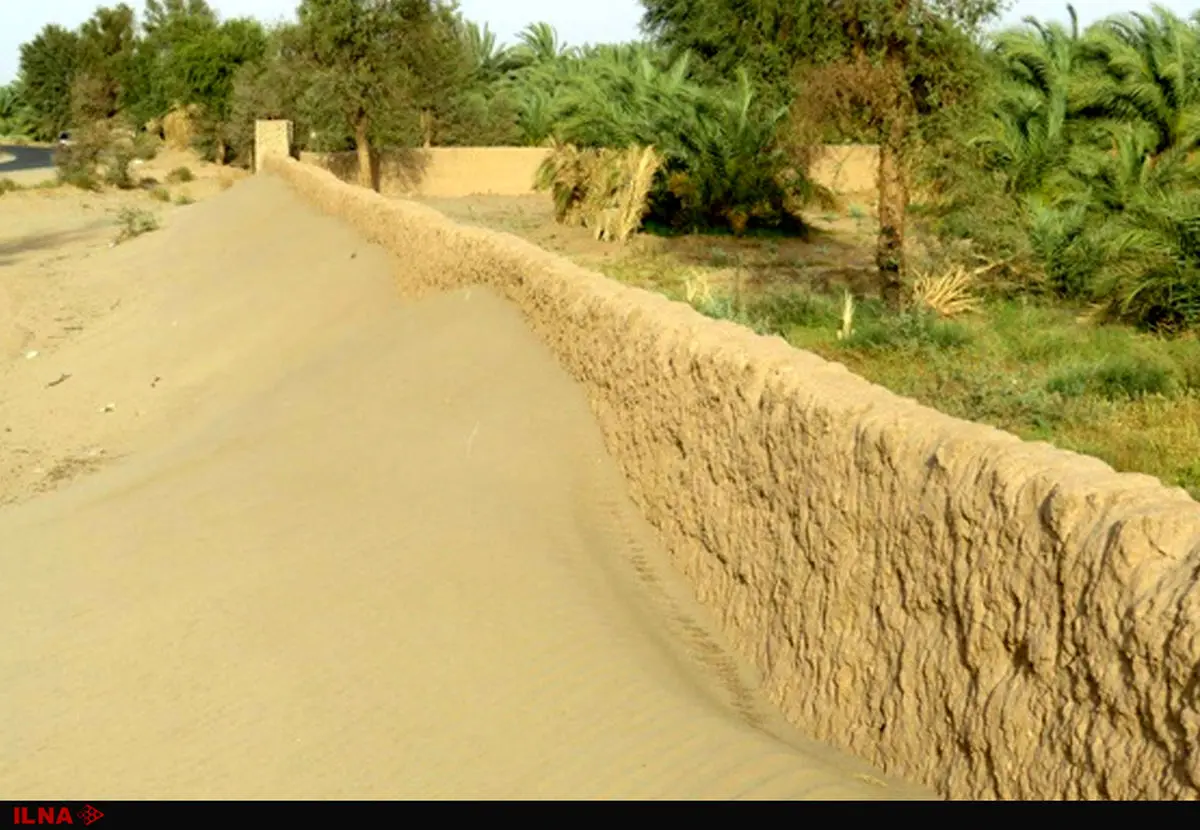 هزینه بالای تولید برای نخلستانداران خردهمالک/ مکانیزاسیون تنها راهکار ارتقای جایگاه جهانی خرمای ایران است