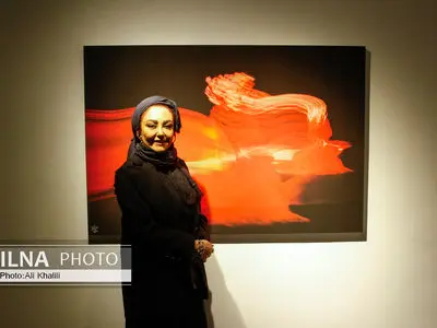 افتتاحیه نمایشگاه عکس «باله در تاریکی»