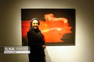 افتتاحیه نمایشگاه عکس «باله در تاریکی»