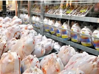 حمل خارج از شبکه مرغ به تهران مسدود شد/ کاهش ۲۰ درصدی قیمت مرغ در بازار مازندران