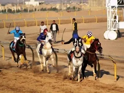 درخشش هرمزگانی‌ها در یزد؛ سه عنوان برتر برای اسب‌های جنوب