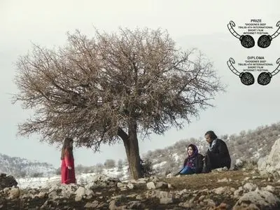 «مرز‌ها نمی‌میرند» برنده جایزه و دیپلم ویژه از جشنواره دیوژن شد