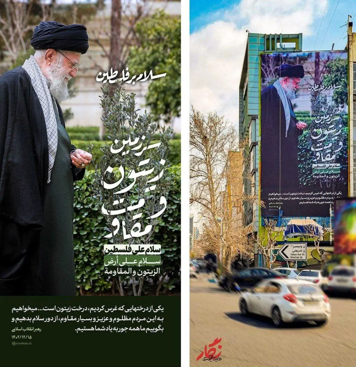 اقدام نمادین رهبر انقلاب در کاشت نهال زیتون به یاد ملت فلسطین