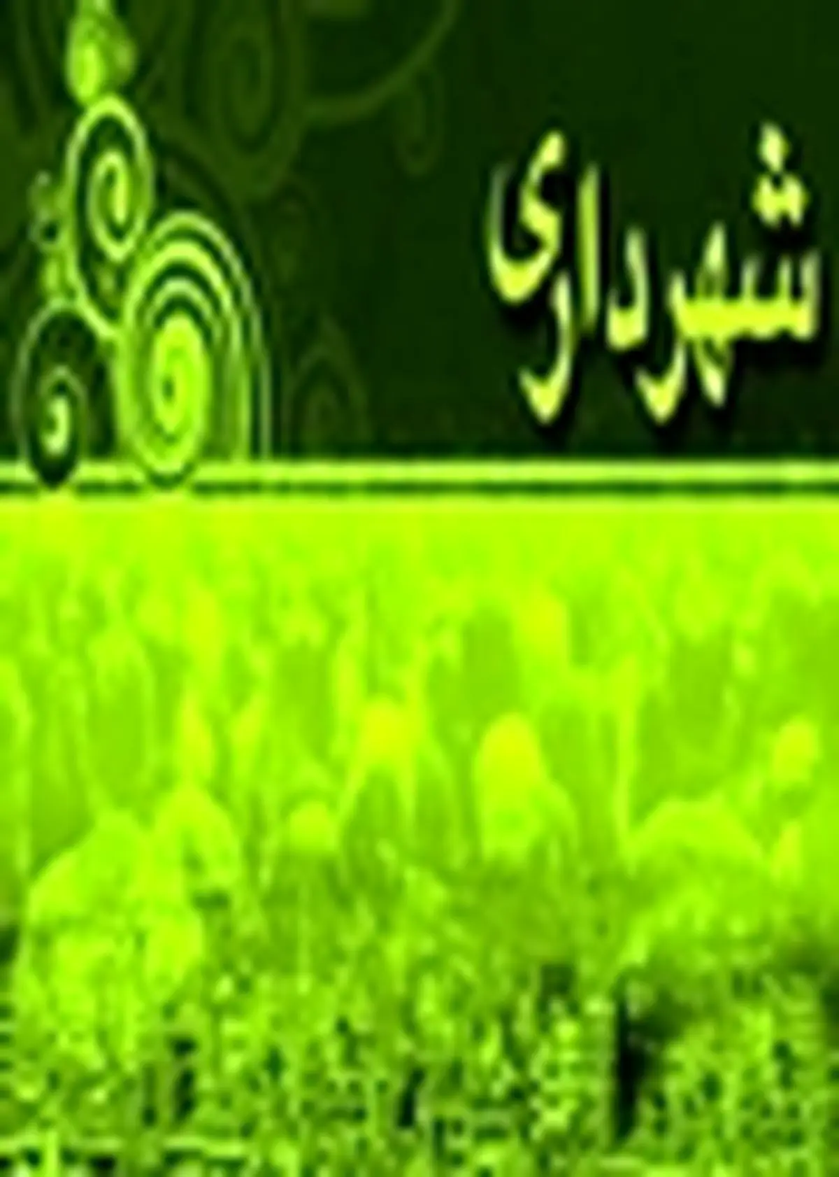 مسابقه " پیش بینی پیام سال نو " برگزار می‌شود