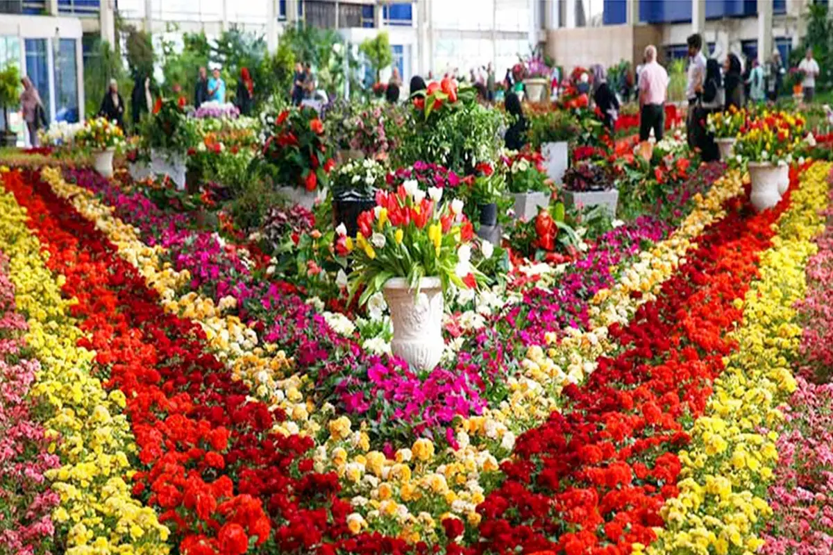 نمایشگاه تخصصی گل و گیاه در قزوین راه‌اندازی می‌ شود