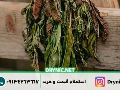 قیمت و خرید و فروش عمده سبزی خشک
