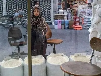 برنج تنظیم بازار به تهران رسید/ توزیع برنج پاکستانی درب مغازه‌