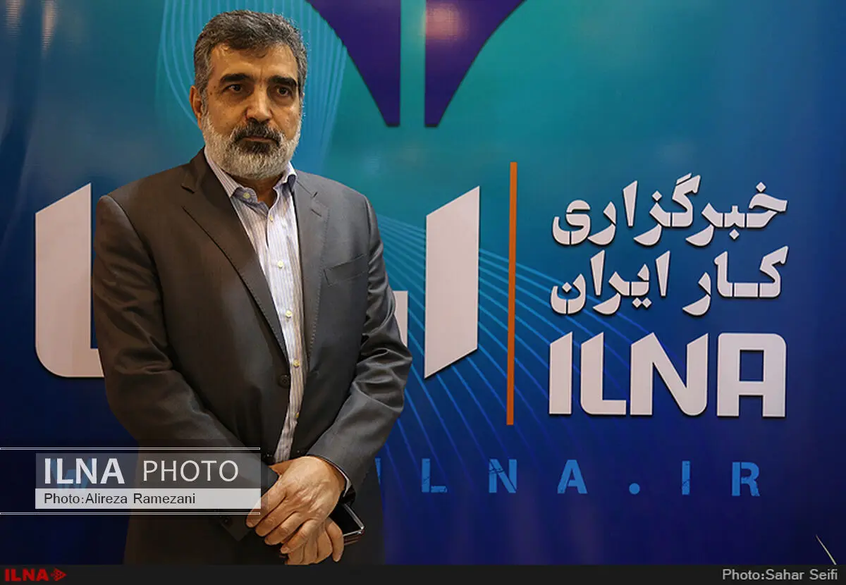 بازطراحی راکتور اراک انجام شده است/ در مورد قیمت با چین مذاکره می‌کنیم
