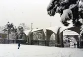 آزادی تعدادی از دانشجویان بازداشتی دانشگاه تهران/ در حال پیگیری آزادی سایر دانشجویان هستیم