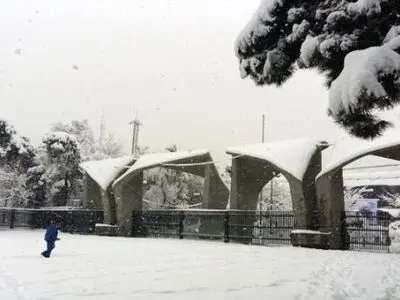آزادی تعدادی از دانشجویان بازداشتی دانشگاه تهران/ در حال پیگیری آزادی سایر دانشجویان هستیم
