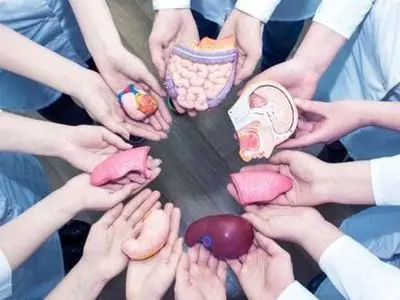 انجام ۳۳۸ پیوند عضو طی ۱۲ سال در یزد 
