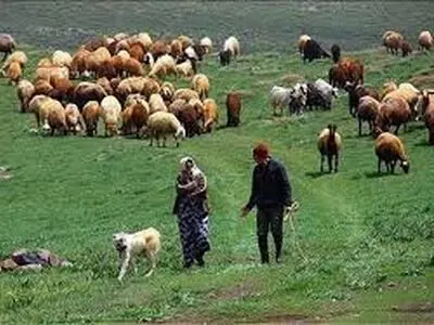 ممنوعیت ورود عشایر به مراتع مناطق قشلاقی کرمانشاه تا ۱۵ آبان‌ماه