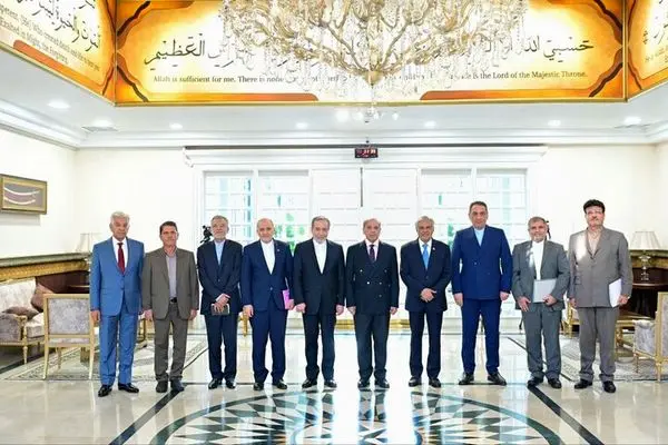 عراقچی با شهباز شریف دیدار کرد