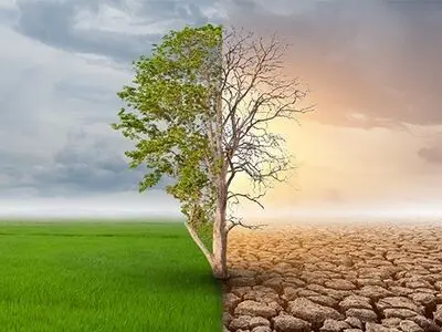 تحقق کاشت یک میلیارد درخت در ایران، مشروط به حمایت اجتماعی و مالی بنگاه‌های اقتصادی است