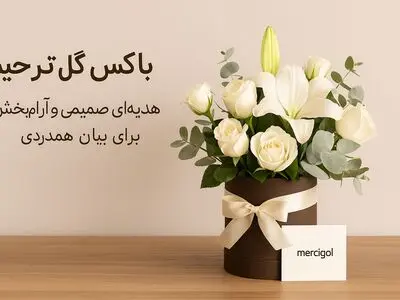 تاج گل یا باکس گل؟ کدام انتخاب برای ترحیم و تسلیت مناسب‌تر است