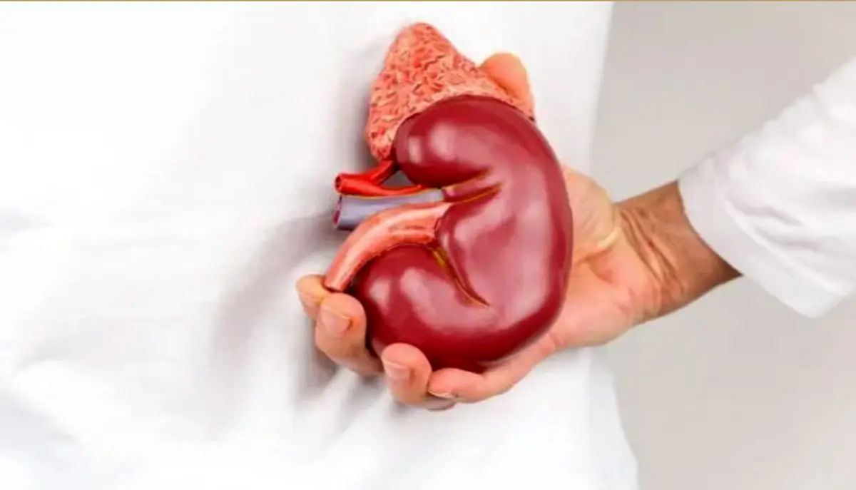 سنگ کلیه را با این دمنوش‌ها دفع کنید
