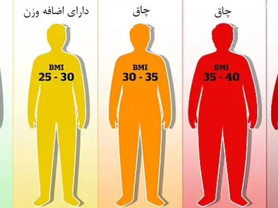 نتایج مهم یک تحقیق؛ شاخص توده بدنی (BMI) آنقدر دقیق نیست/ چرا به BMI اعتماد نکنیم؟