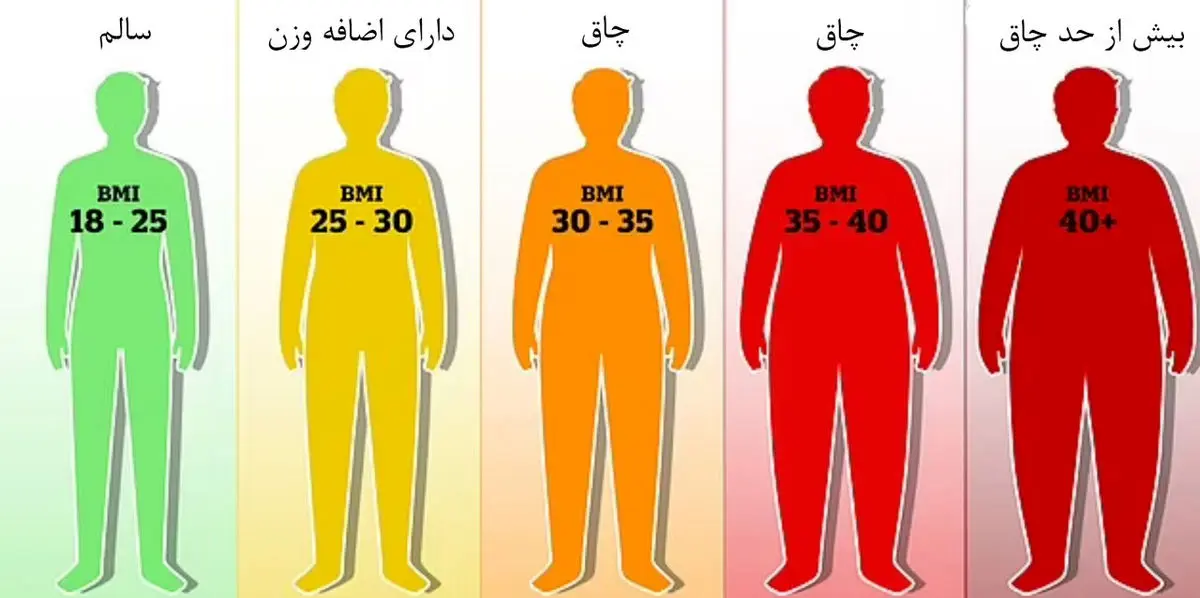 نتایج مهم یک تحقیق؛ شاخص توده بدنی (BMI) آنقدر دقیق نیست/ چرا به BMI اعتماد نکنیم؟