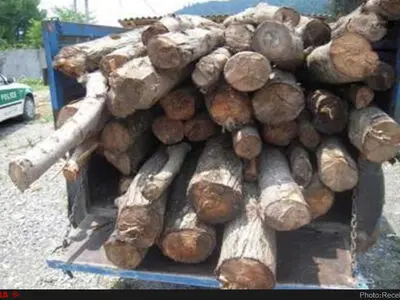 کشف محموله چوب قاچاق در شهرستان شاهرود