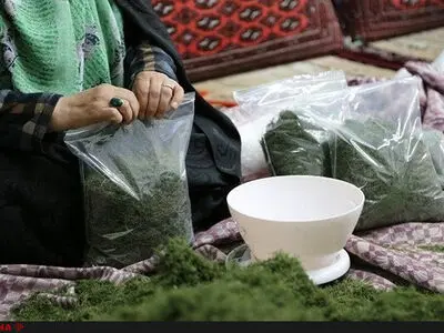 فقط بیمه‌ام کنند/درآمدم ماهی ۲۵۰ هزار تومان است