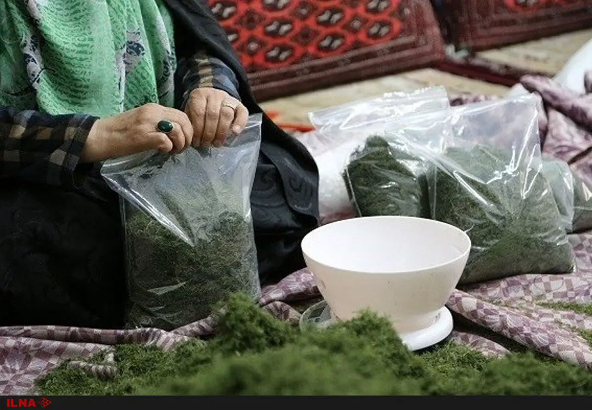 فقط بیمه‌ام کنند/درآمدم ماهی ۲۵۰ هزار تومان است