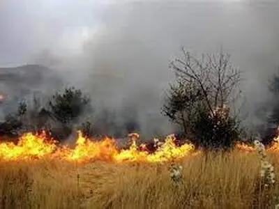 امسال ۵۰۰ هکتار از مراتع همدان دچار آتش‌سوزی شد