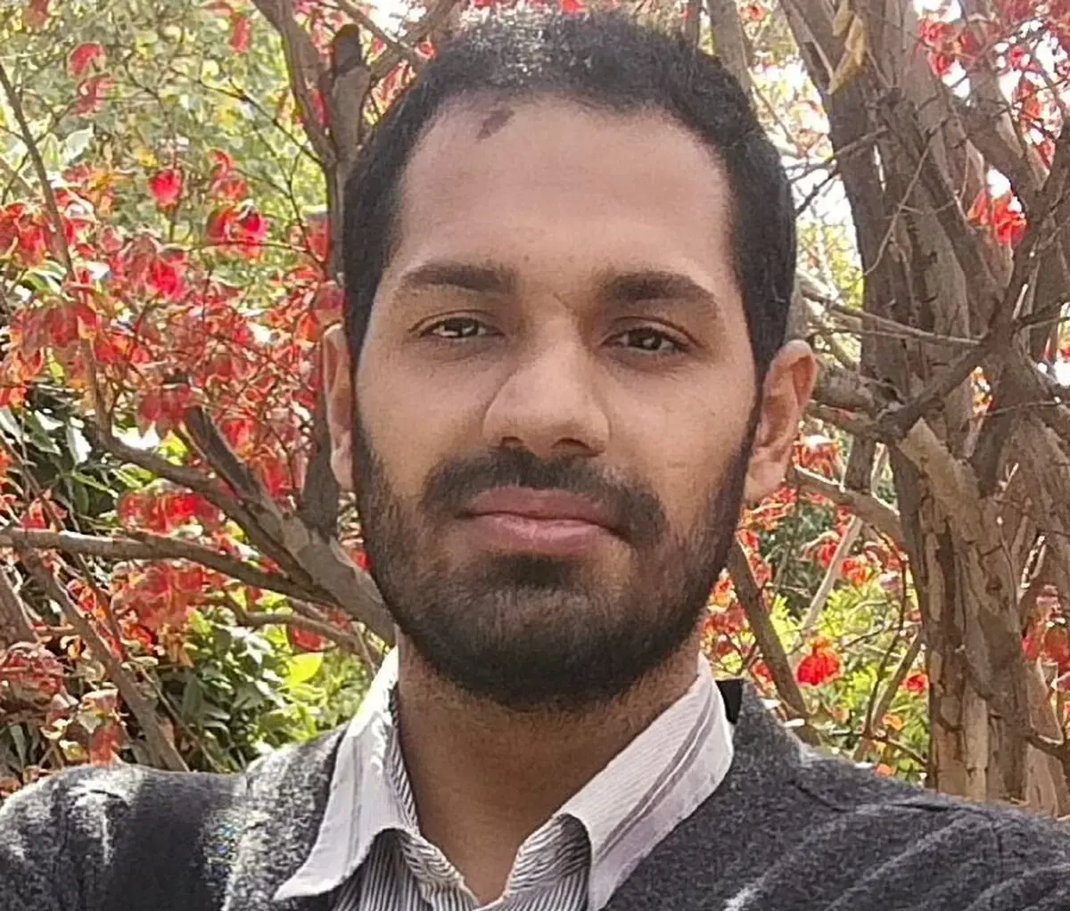 کاربردی‌سازی علوم‌انسانی و رشد جامعۀ نقّاد 