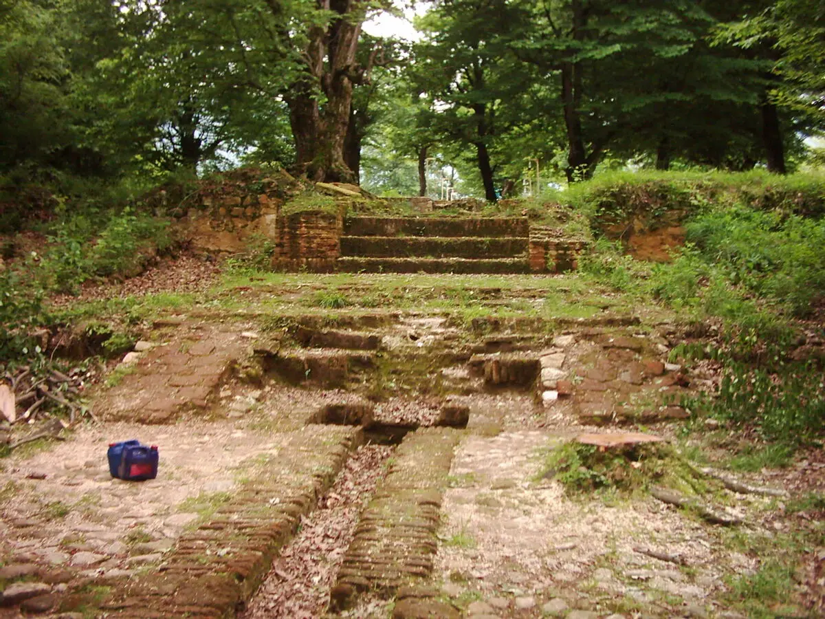  مجموعه ای تاریخی در دل جنگل 