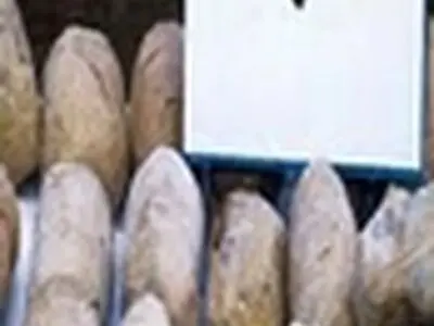 تویوتا کمری و ماکسیما حامل ۷۰ کیلو تریاک بودند