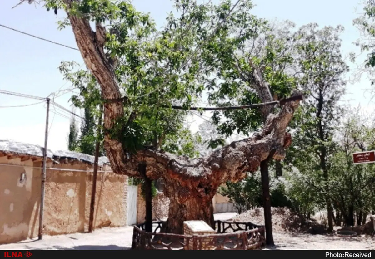 ثبت ۲۷ اثر طبیعی در فهرست میراث ملی- طبیعی کشور