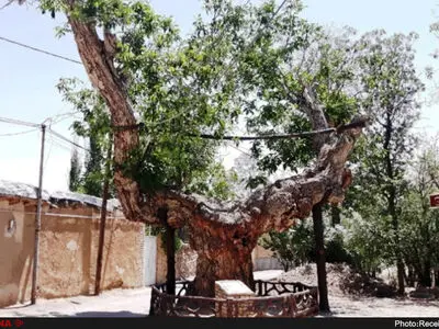 ثبت ۲۷ اثر طبیعی در فهرست میراث ملی- طبیعی کشور