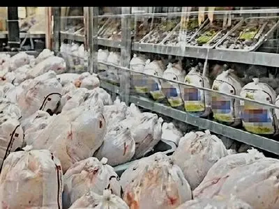 ارسال ۴۶۳ تنی گوشت مرغ مازندران به تهران در شبانه‌روز گذشته / توزیع ۳۶۲ تنی در استان