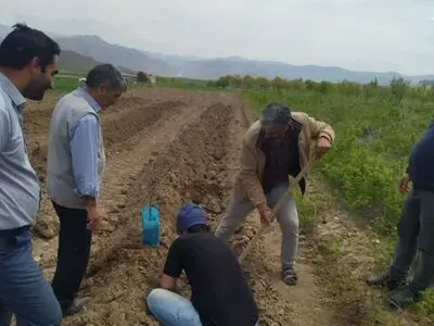احداث اولین باغ سازگار در شهرستان ورزقان