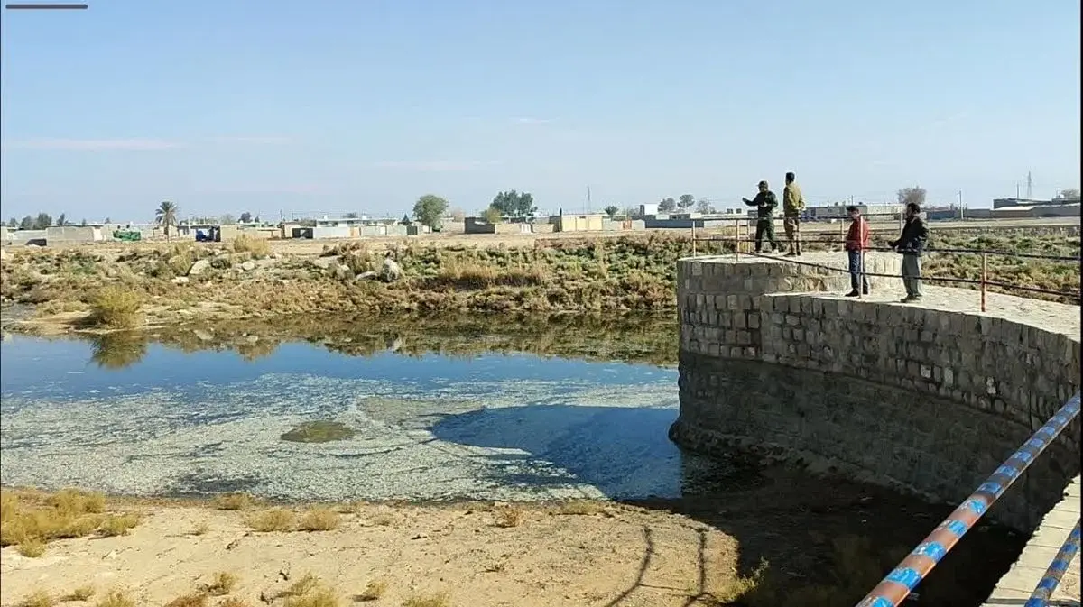 مرگ میلیون‌ها ماهی‌ رودخانه کر در ابهام / محیط‌زیست: دامپزشکی دلیل تلف شدن ماهی ها را مشخص می‌کند/ امکان دارد سم یا مواد دیگر  وارد رودخانه شده باشد