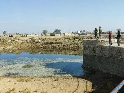 مرگ میلیون‌ها ماهی‌ رودخانه کر در ابهام / محیط‌زیست: دامپزشکی دلیل تلف شدن ماهی ها را مشخص می‌کند/ امکان دارد سم یا مواد دیگر  وارد رودخانه شده باشد