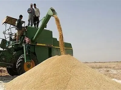 خرید و ذخیره سازی 39 هزار تُن گندم از کشاورزان سمنان