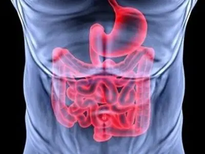 بدن در هنگام خواب چه اتفاقی را تجربه می‌کند؟ + اینفوگرافیک