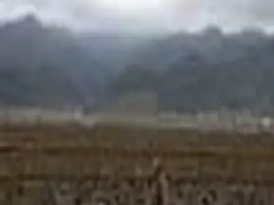 شخم زمستانه در۴درصد از شالیزارهای گیلان انجام شده است