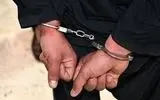 سارقِ ۲۴ خانه دهدشتی دستگیر شد 