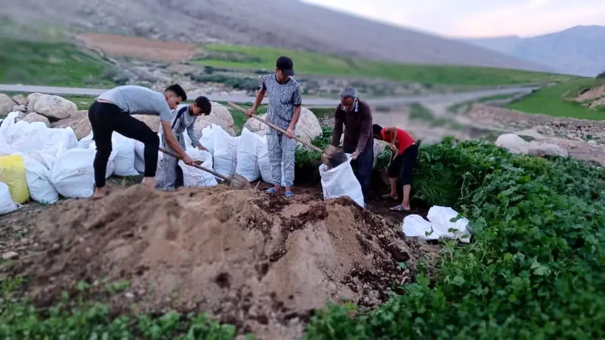 طرح خلاقانه معلم خوزستانی با ایجاد کمربند سبز در حاشیه جاده