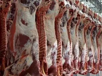 محکومیت قصاب رودباری به پرداخت جریمه نقدی