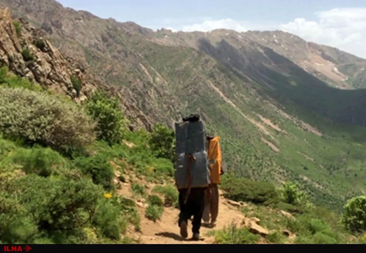 کشته و زخمی شدن دو کولبر در مرز چالدران 