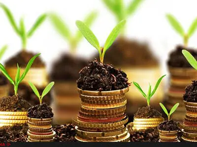 آمدن طرح جذب به صحن مجلس به درازا کشید/امیدواریم قبل از عید تعیین تکلیف شویم