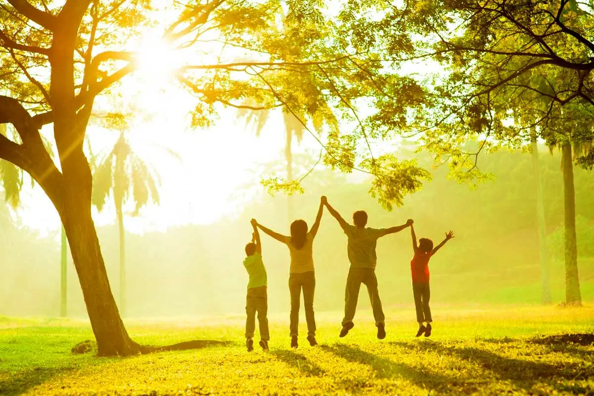 ۱۳ خوراکی، ۱۳ راه‌حل؛ نسخه طبیعی برای یک زندگی سالم‌تر + اینفوگرافیک