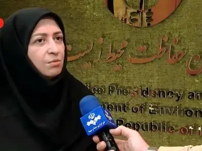 واکنش رئیس سازمان حفاظت محیط زیست به ماجرای سفر ۵۰ میلیاردی برزیل + فیلم