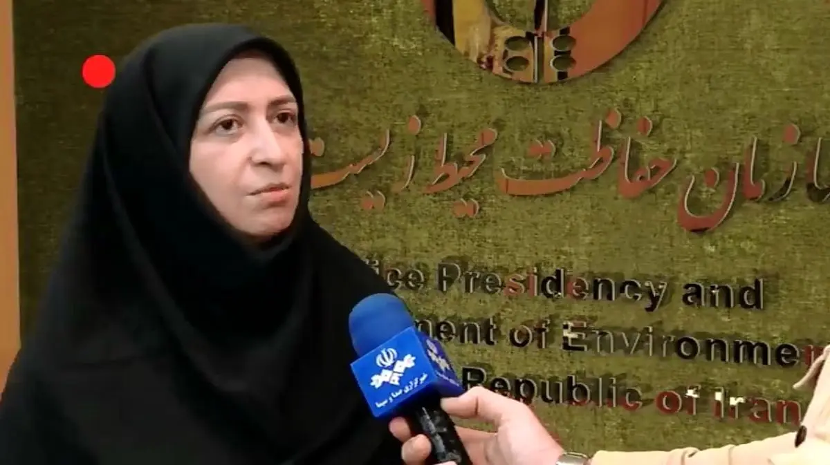 واکنش رئیس سازمان حفاظت محیط زیست به ماجرای سفر ۵۰ میلیاردی برزیل + فیلم