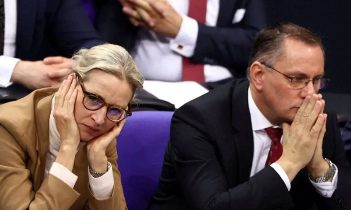 درخواست احزاب سیاسی آلمان برای ممنوعیت حضور حزب «آلترناتیو برای آلمان» در نشست امنیتی مونیخ