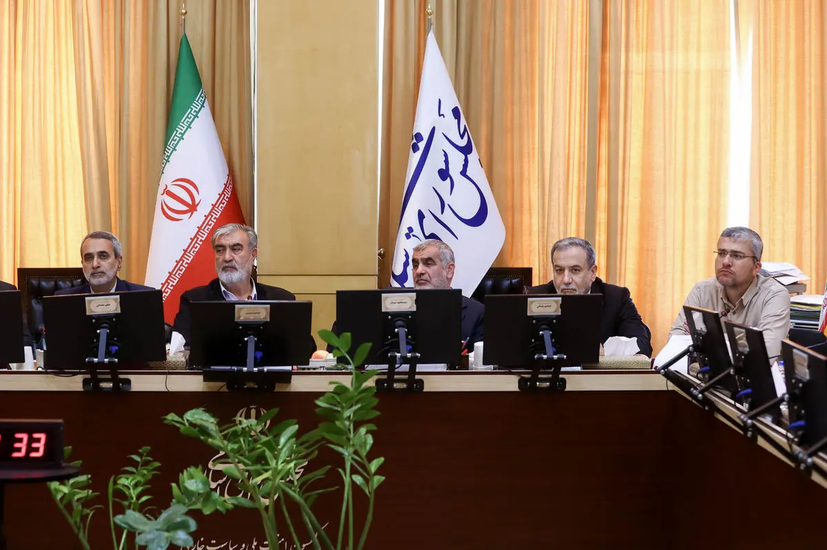 تاکید نمایندگان بر لزوم اجرای دقیق قانون تعلیق همکاری با آژانس