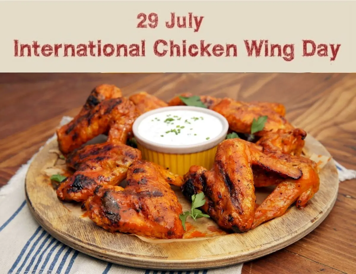 ۲۹ ژوئیه روز جهانی بال مرغ است